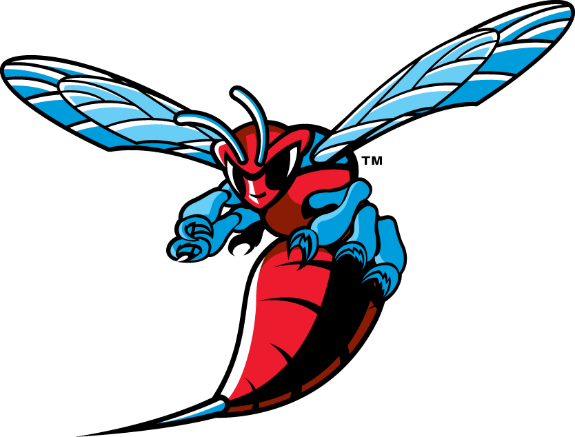 Delaware State Hornets T shirt DIY iron-ons